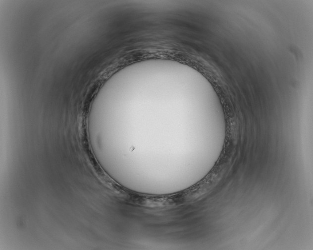 X0000112010757200908031021