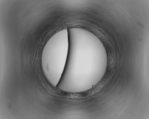 X0000112010758200908031021