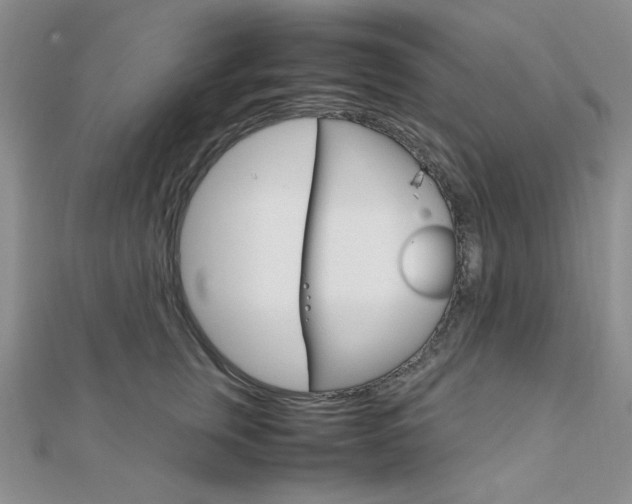 X0000112010759200908031021