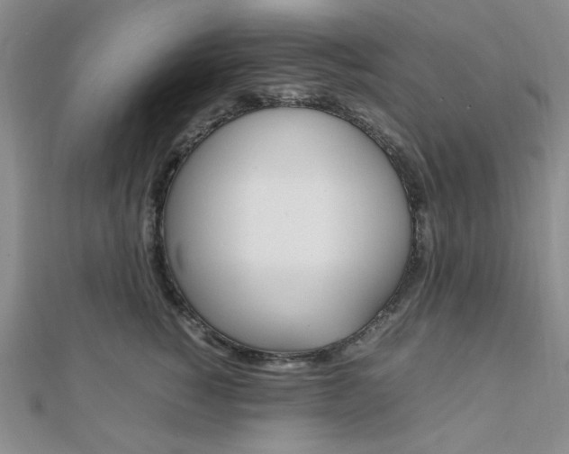 X0000112010760200908031021