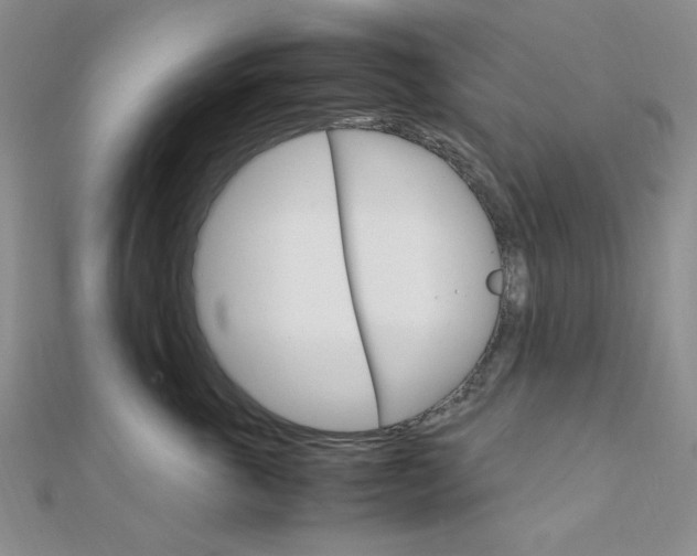 X0000112010763200908031021