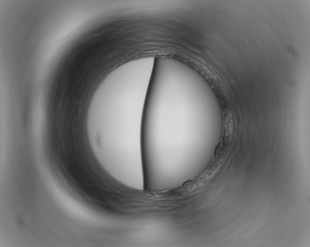 X0000112010764200908031021