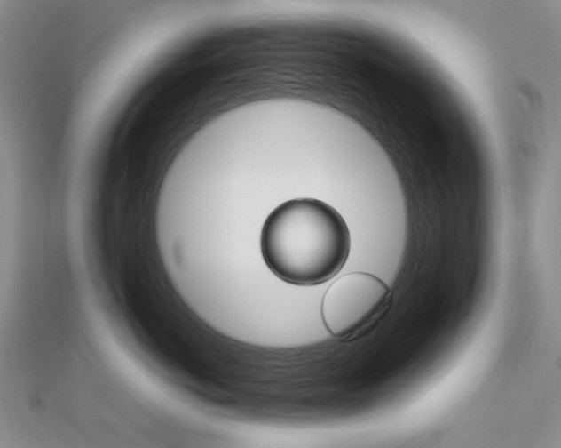 X0000112010766200908031021
