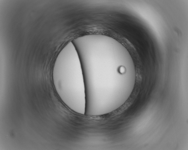 X0000112010767200908031021