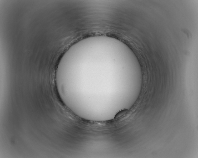 X0000112010768200908031021