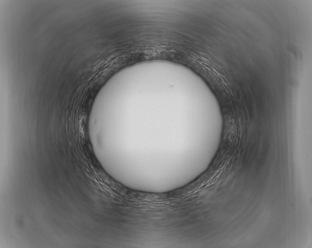 X0000112010770200908031021