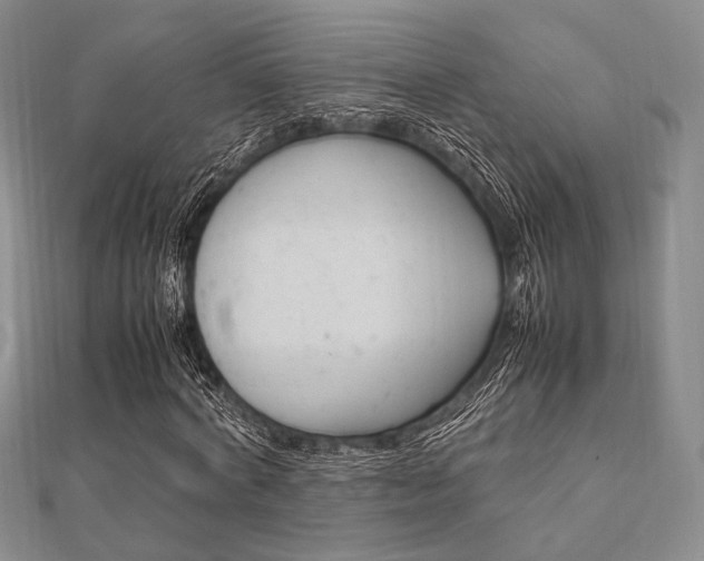 X0000112010772200908031020