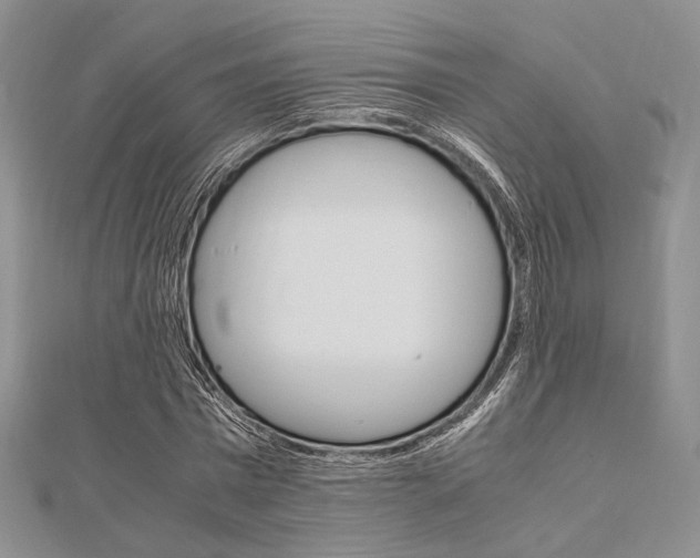 X0000112010777200908031020