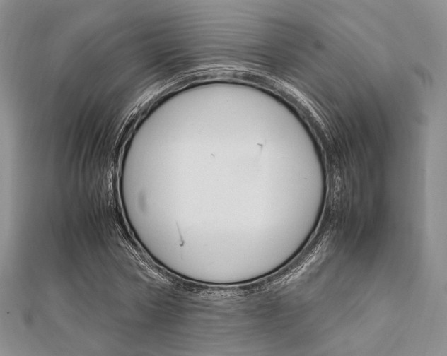 X0000112010778200908031020