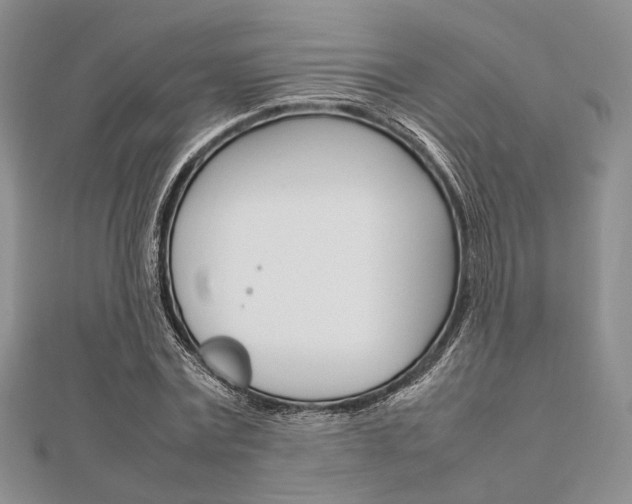 X0000112010779200908031020