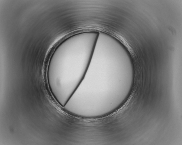 X0000112010780200908031020