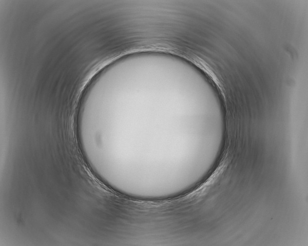 X0000112010781200908031020