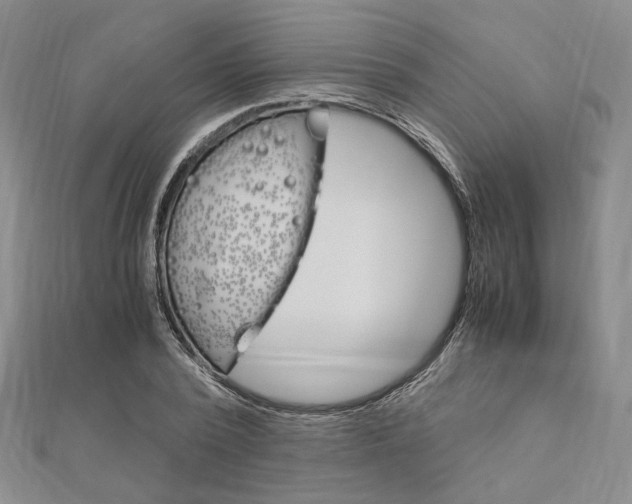 X0000112010784200908031020