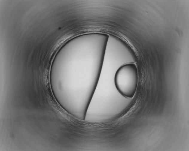 X0000112010786200908031020