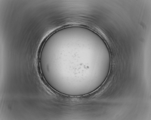 X0000112010787200908031020