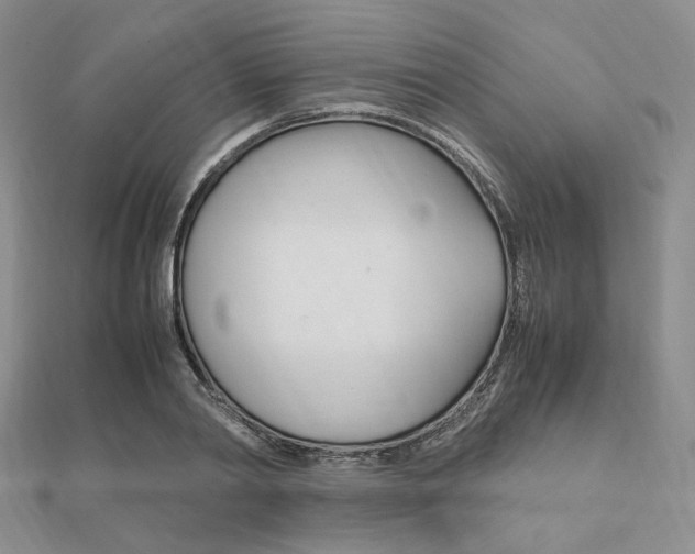 X0000112010790200908031020