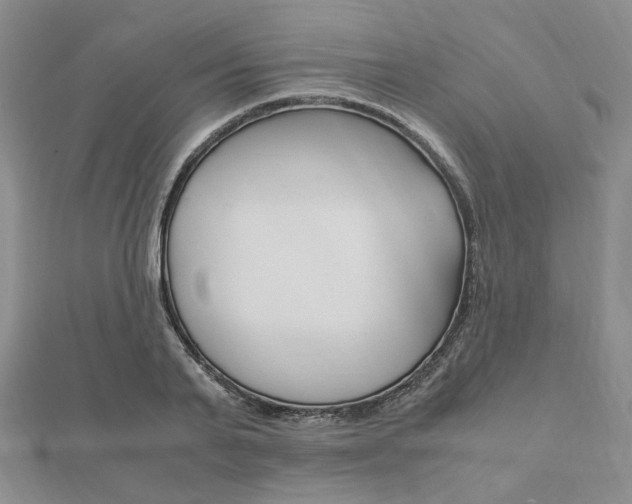 X0000112010791200908031020