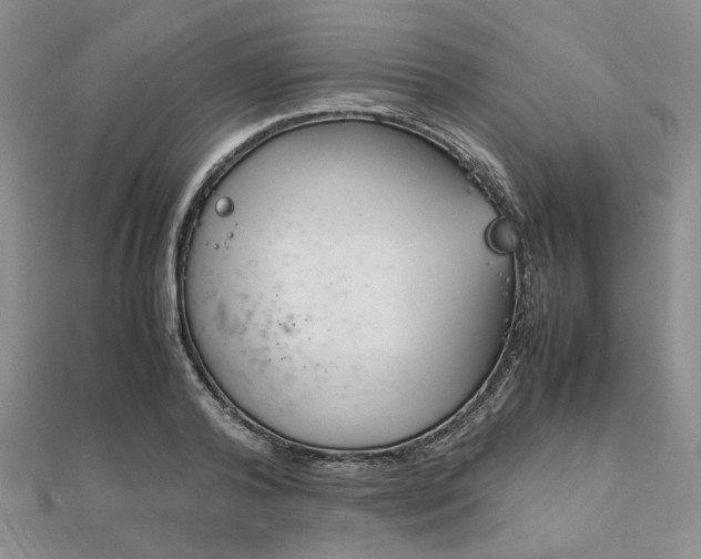 X0000112010792200908031020