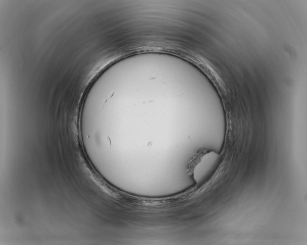 X0000112010794200908031020