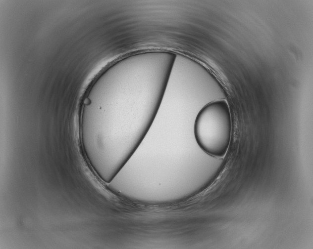 X0000112010796200908031020