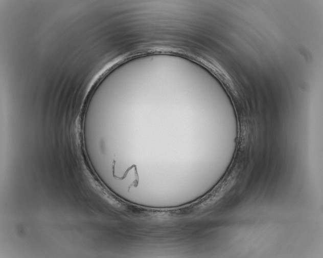 X0000112010798200908031020