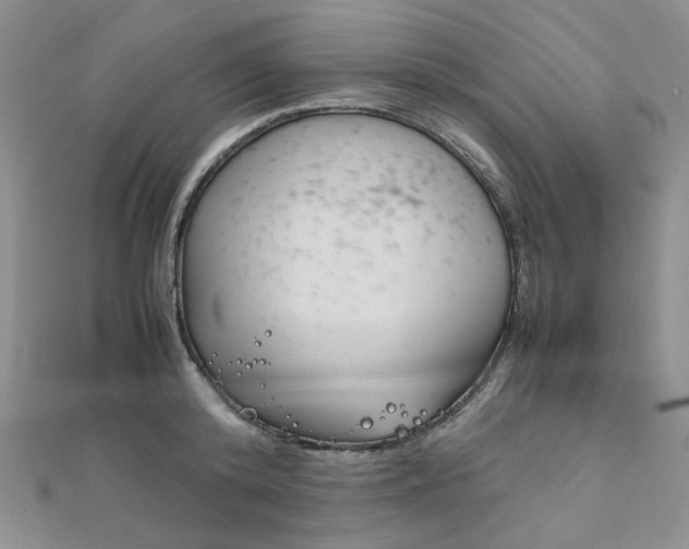 X0000112010800200908031020