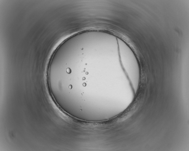 X0000112010803200908031020
