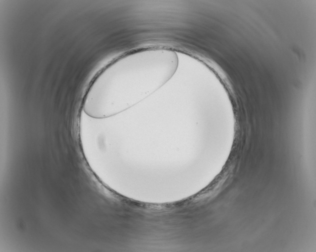 X0000112010807200908031020