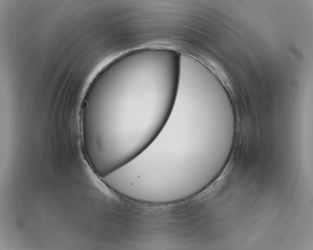 X0000112010808200908031020