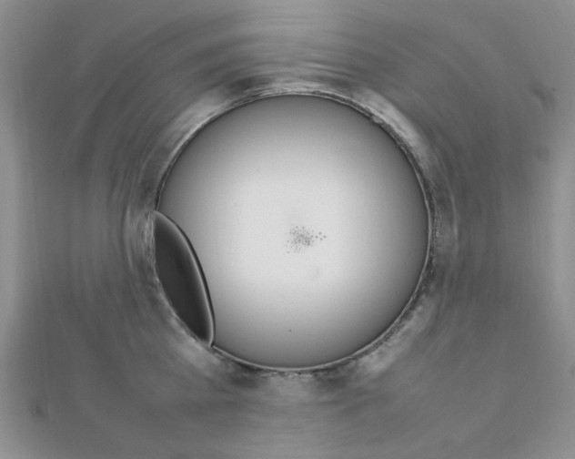 X0000112010809200908031020