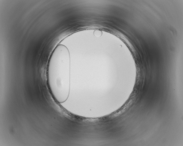 X0000112010810200908031020