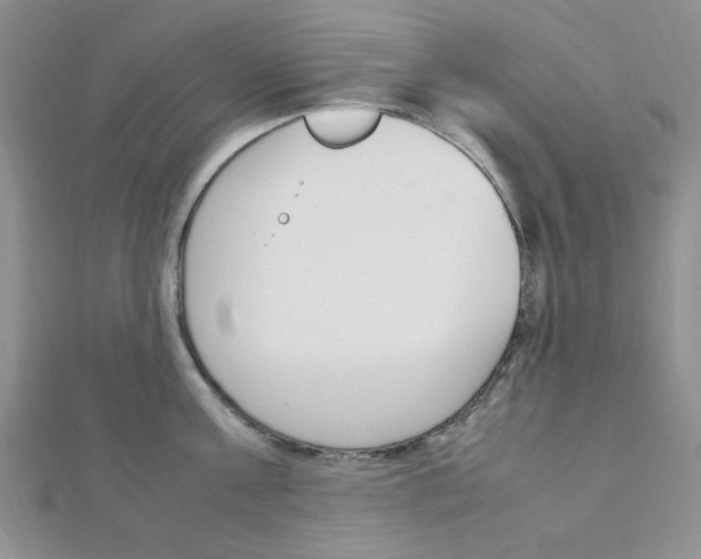 X0000112010811200908031020