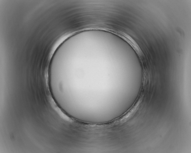 X0000112010812200908031020