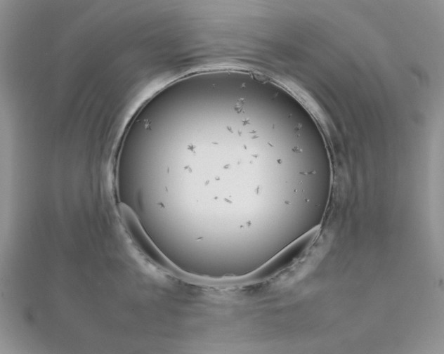 X0000112010813200908031020