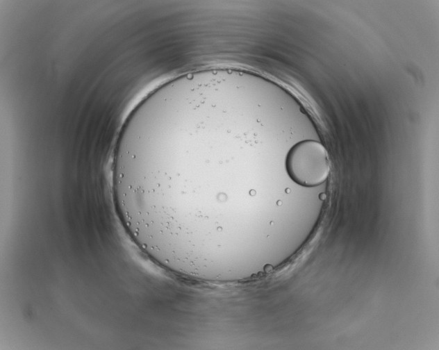 X0000112010814200908031020