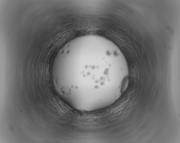 X0000112010818200908031019