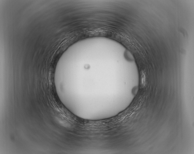 X0000112010819200908031019