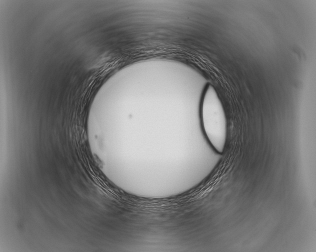 X0000112010820200908031019