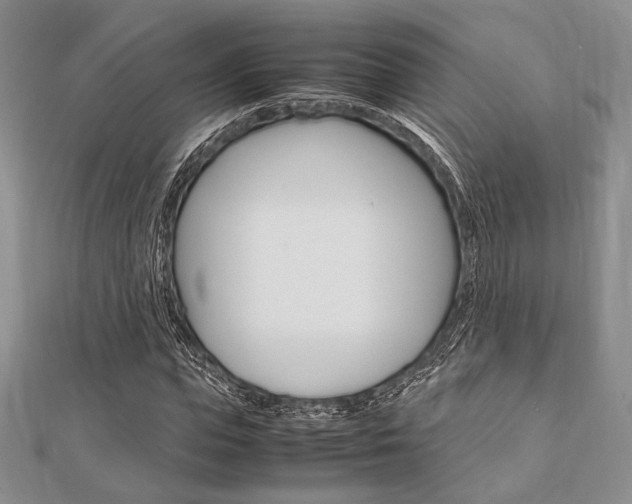 X0000112010823200908031019