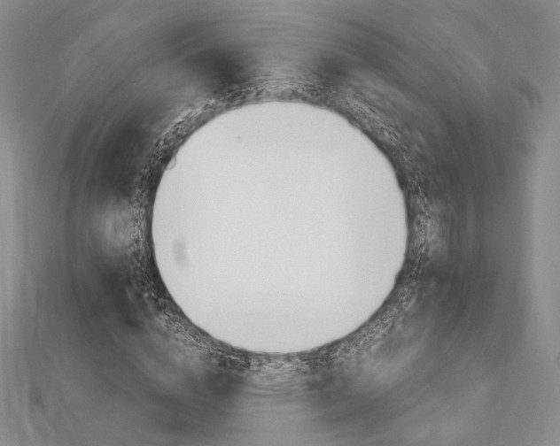 X0000112010824200908031019
