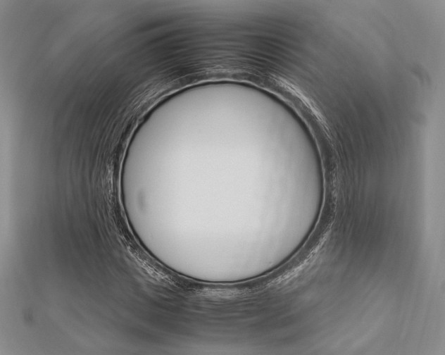 X0000112010825200908031019