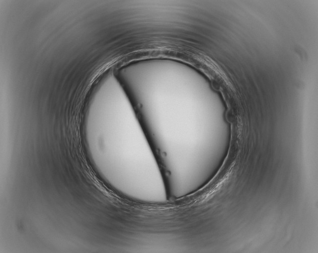 X0000112010826200908031019