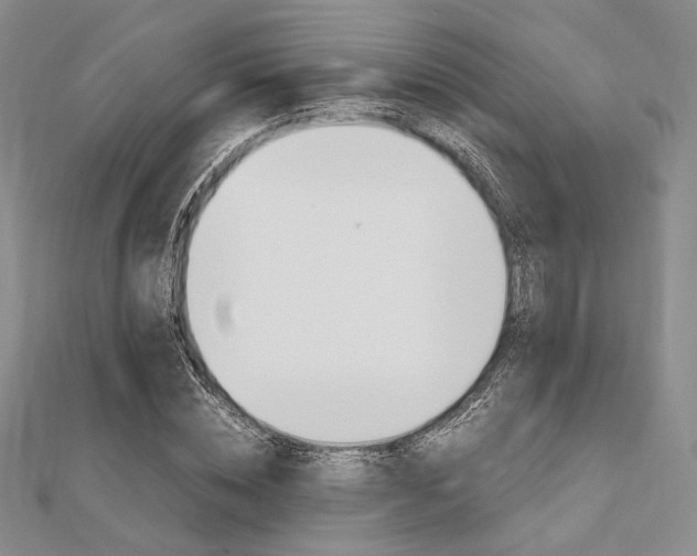 X0000112010828200908031019
