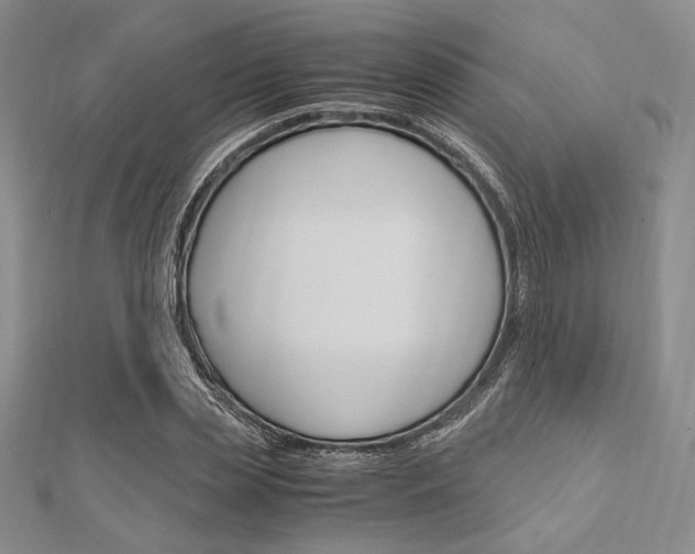 X0000112010829200908031019