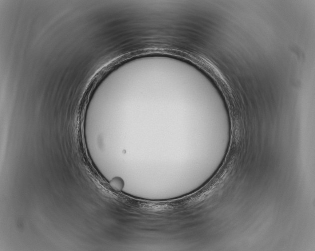 X0000112010831200908031019