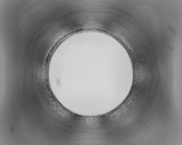 X0000112010832200908031019
