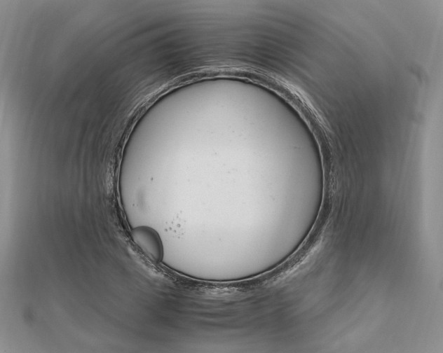 X0000112010833200908031020