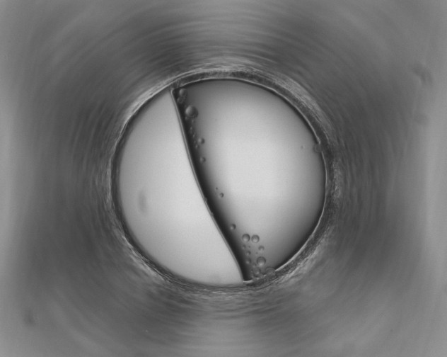 X0000112010834200908031020