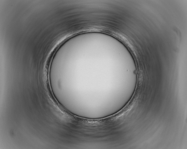 X0000112010835200908031020