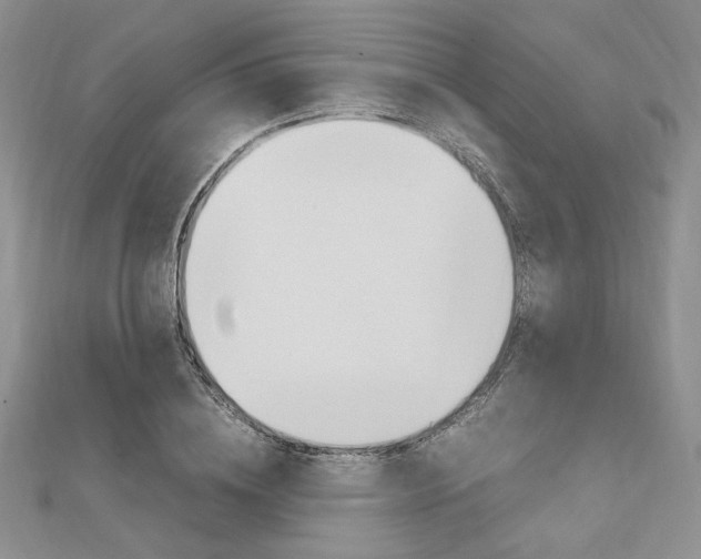 X0000112010836200908031020
